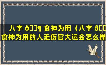 八字 🐶 食神为用（八字 💮 食神为用的人走伤官大运会怎么样）